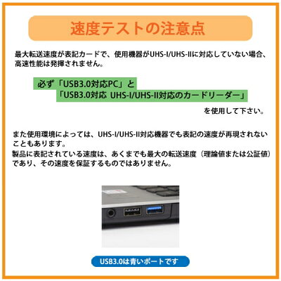 SanDisk SDカード UHS1 Class10/64GB SDSDUNR-064G-GN3IN
